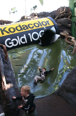 IMG_4967 IMG_4967