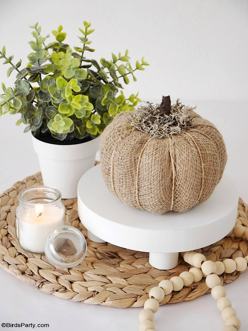 5 Décorations de Citrouilles DIY pour l'Automne - des décorations faciles pour transformer des citrouilles bon marché en un décor haut de gamme!