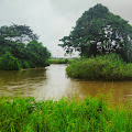 " Bukan Janji ". Gerak Cepat Pemda Koltim Bakal Normalisasi Sungai Iwoikondo 