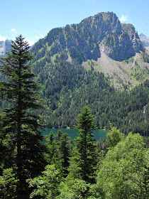 Fir trees and Llac de Sant Maurici in Aigüestortes National Park