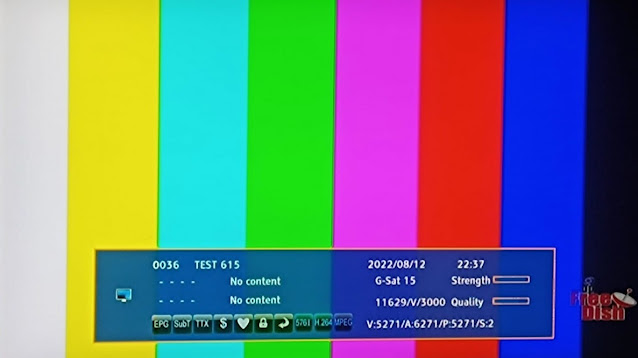 MPEG-4 Slot Test 615 Vacant on DD Free Dish