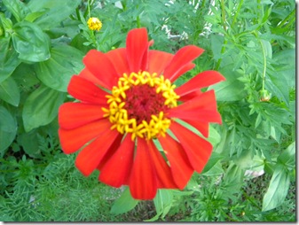DSCN4413