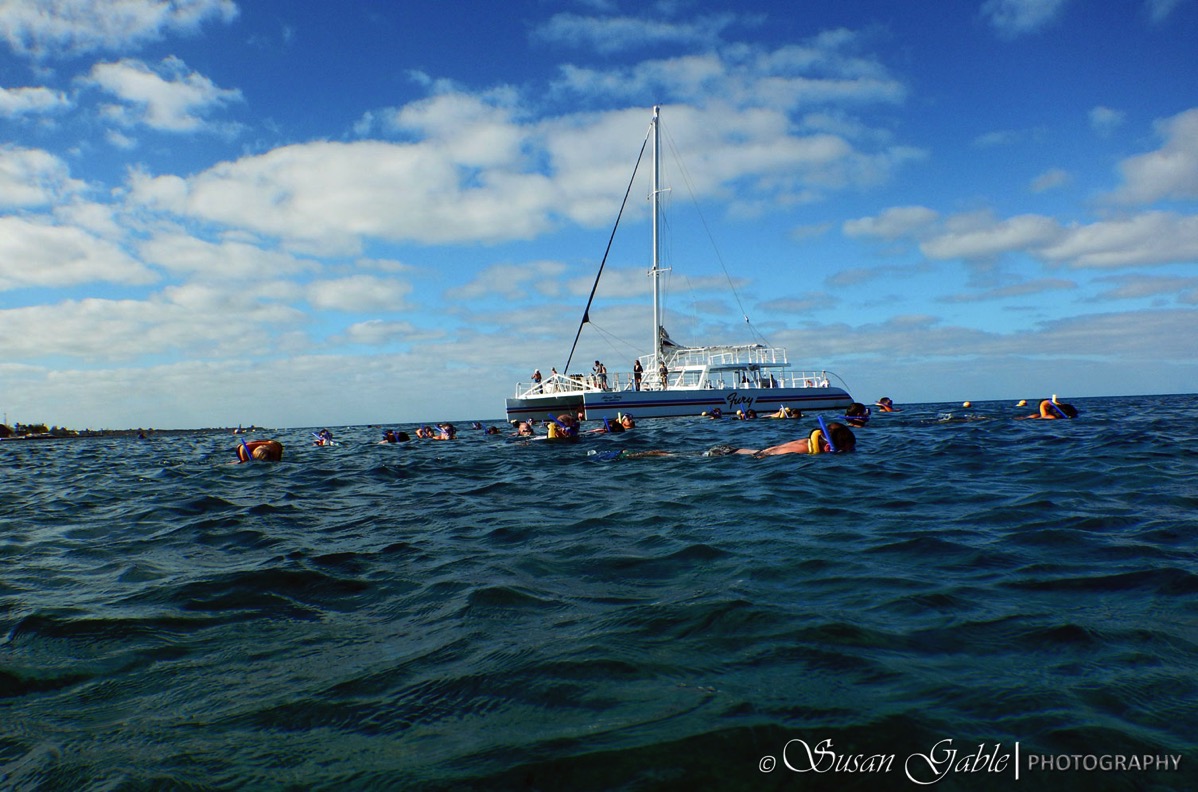 Cozumel 5569
