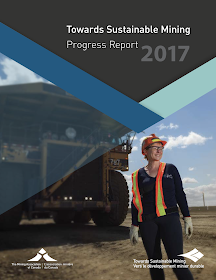 2017 Towards Sustainable Mining (TSM) Progress Report
