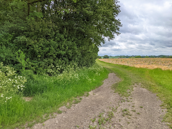 Heading S on Anstey footpath 13