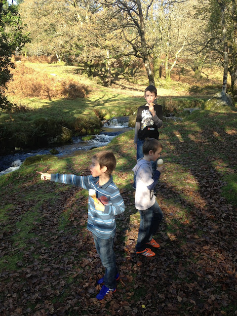 burrator reservoir