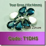 T1DH5 copy