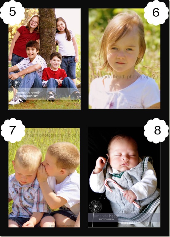 collage2