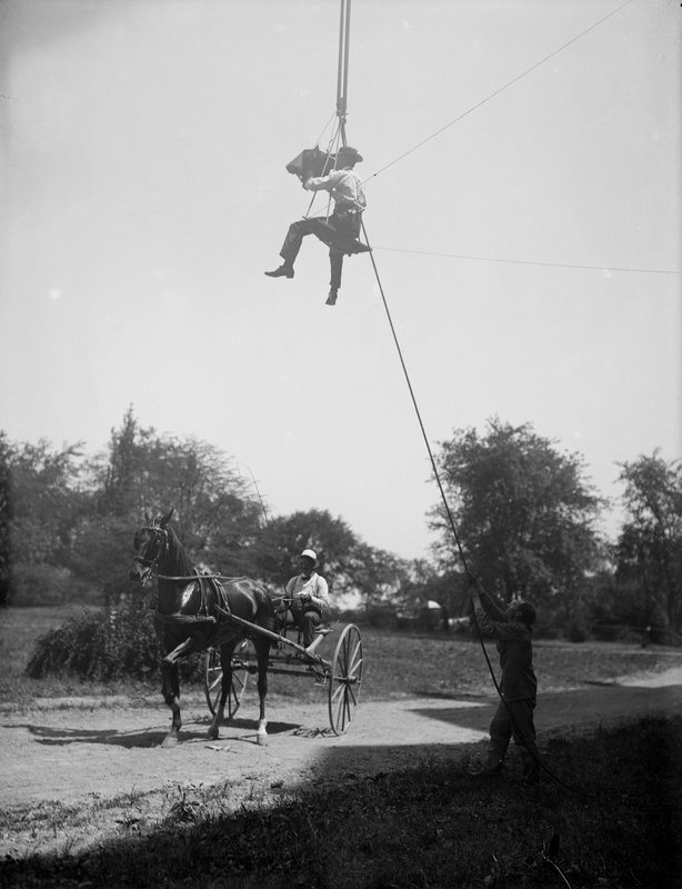 S. M. Chubb Photographs Horse