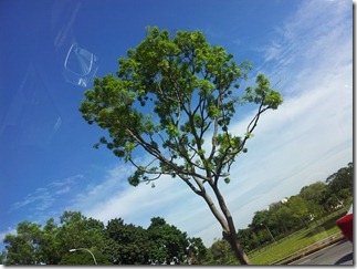 20120928_093605
