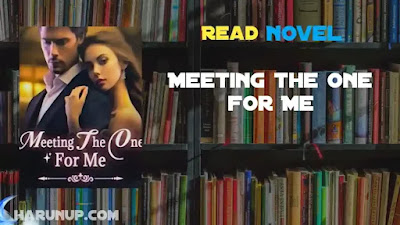 Meeting the One for Me Novel