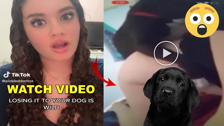 Sofia the baddie dog | sofiathebaddie video viral | Sofia twitter video