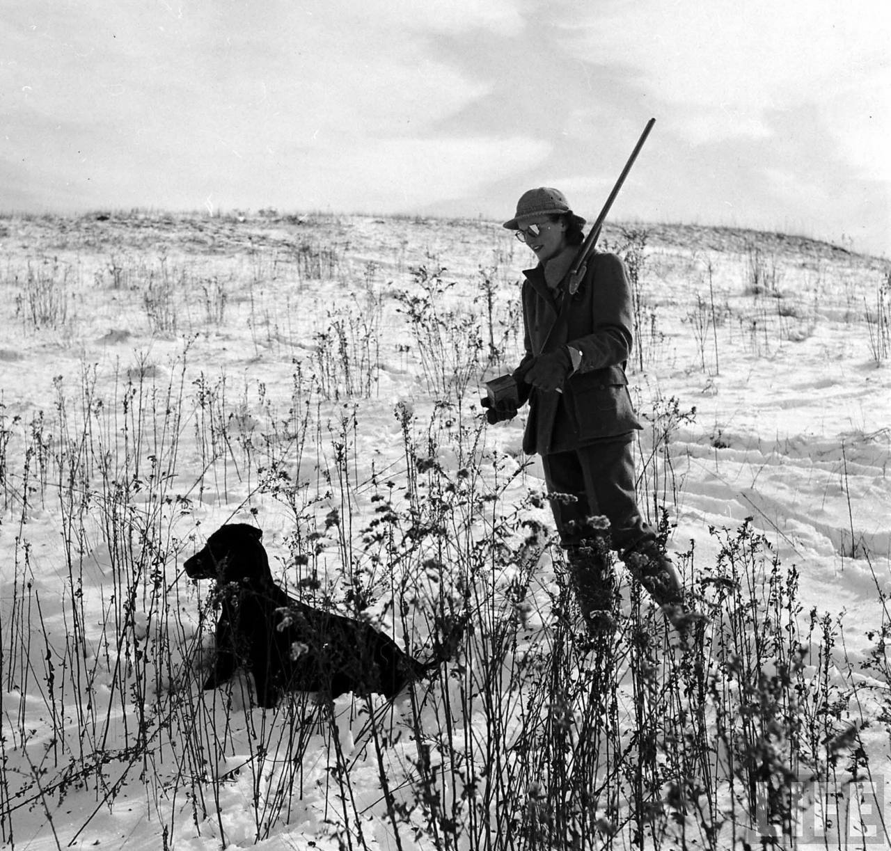 SCENE | Pheasant Shoot