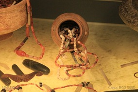 IMG_5587-001
