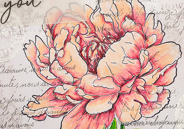 Layers of ink - Peony Card Tutorial by Anna-Karin Evaldsson. Peony in colored pencil.