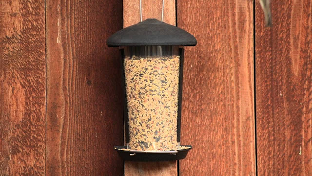 Wall Mounted Bird Feeders