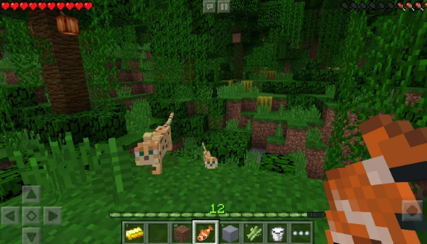 Minecraft Pocket Edition Mod Apk