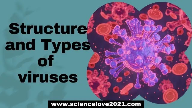 Structure and Types of viruses