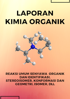 Laporan Kimia Organik