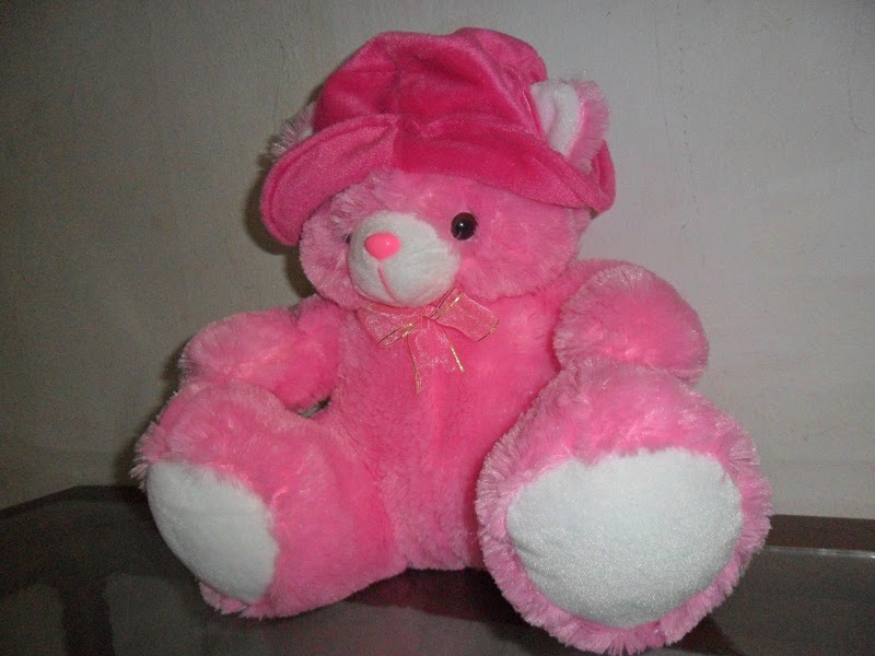 Inspirasi 21+ Foto Boneka Teddy Bear Warna Pink