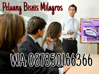 Peluang Bisnis Viral 2021