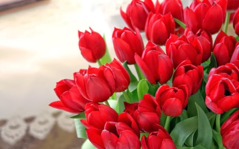 Gambar Share Knowledge Makna Bunga Tulip Berdasarkan Warna ...