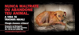 Adote um animal