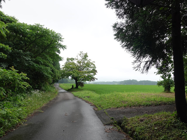 鳥取県西伯郡伯耆町岩立　農道横の木の下地蔵