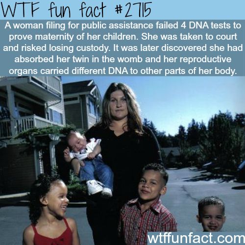 Interesting Random Facts