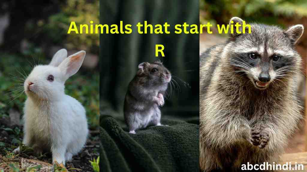 Animals that start with r