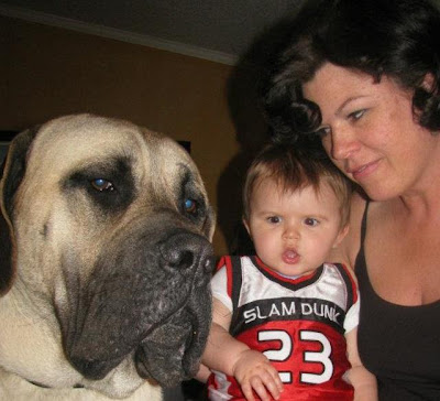 Retro Gran with grandson and English Mastiff