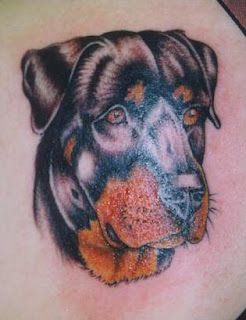 Tattoos of Animals - Animal Tattoo Photo Gallery