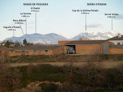 Panoràmica dels Rasos de Peguera i la Serra d'Ensija des de l'alçada d'El Grèvol