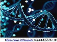 Kerangka manusia bisa diidentifikasi -Keunikan DNA