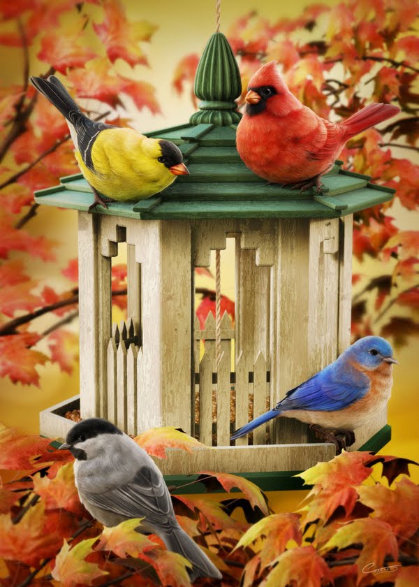 Fall Birds