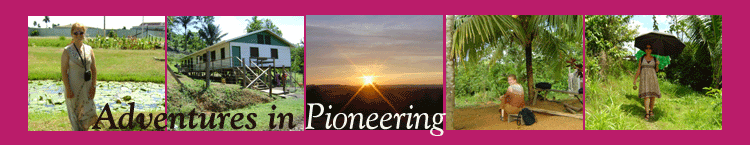 Adventures In Pioneering