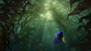 Dory y Nemo:  Pósters HD para Descargar Gratis.
