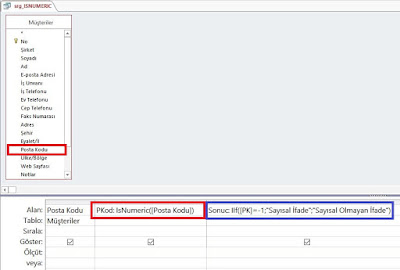 access isnumeric fonksiyonu