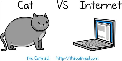 cat vs internet