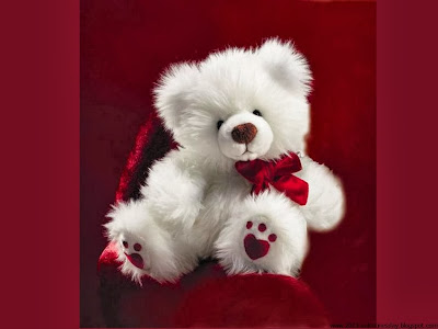 Sweet teddy bear Wallpaper