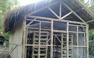 Cara budidaya jamur merang dengan media kardus
