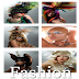 Fashion - Girls