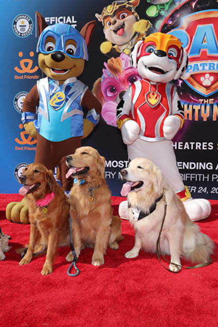 LOS ANGELES, CALIFORNIA – SEPTEMBER 24: Guests attend the Guinness World Record Breaking Screening in support of “PAW Patrol: The Mighty Movie” at the Autry Museum of the American West on September 24, 2023, in Los Angeles,California. (Photo by Phillip Faraone/Getty Images for Paramount Pictures)
