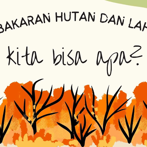 Kebakaran Hutan dan Lahan di Indonesia. Kita Bisa Apa?