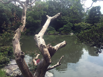 京都御苑 厳島神社