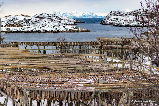 Lofoten, secaderos de skrei en Henningsvaer por El Guisante Verde Project