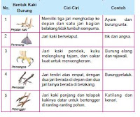 ... burung pelatuk untuk memanjat, kaki burung kutilang