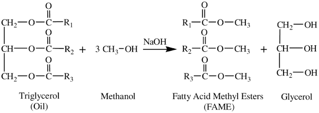 Fatty Acid Methyl Esters Market