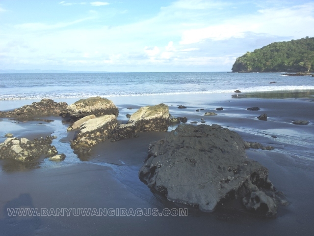 Pantai Grajagan Banyuwangi 