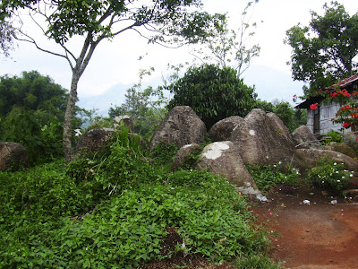 Rhino Stone